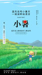 小暑节气宣传海报展板