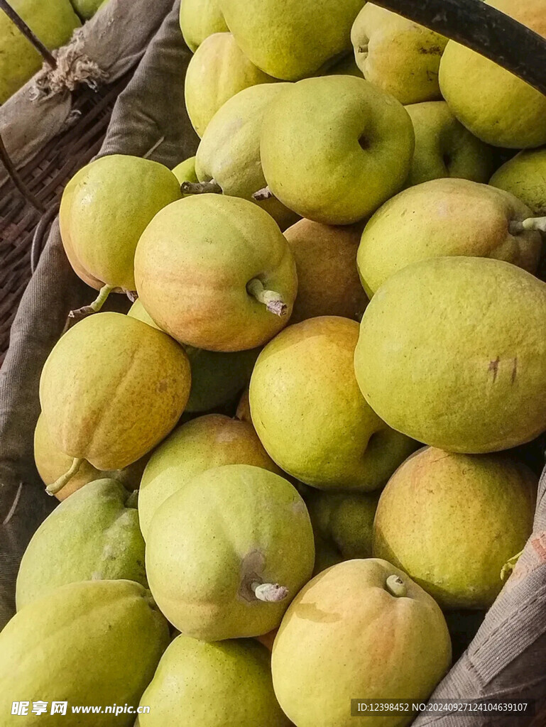 库尔勒香梨