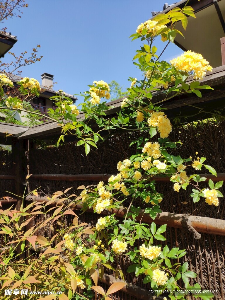 拈花湾
