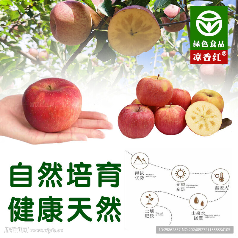 苹果