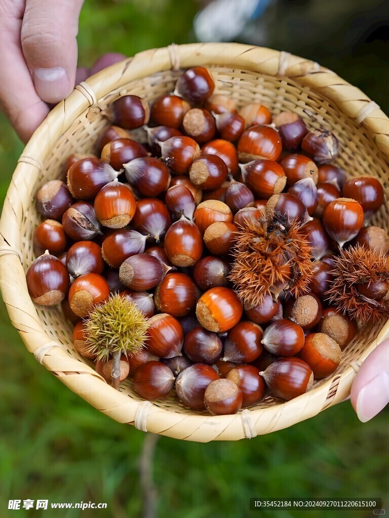 糖炒板栗
