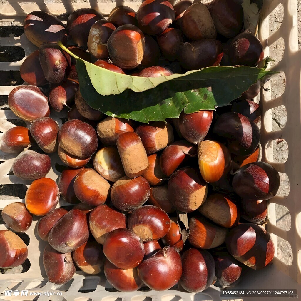 糖炒板栗 