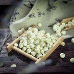 贝母