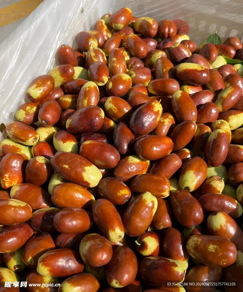 红枣 