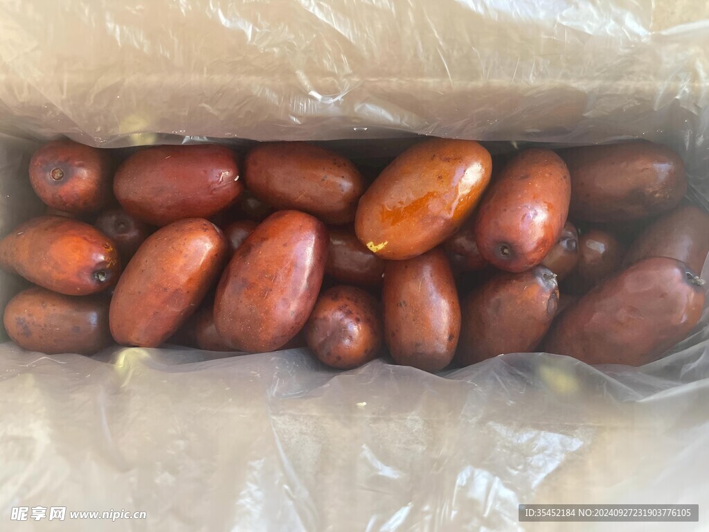 红枣
