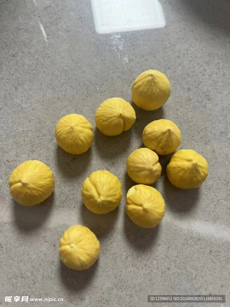 板栗
