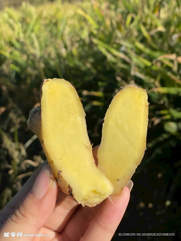 生姜