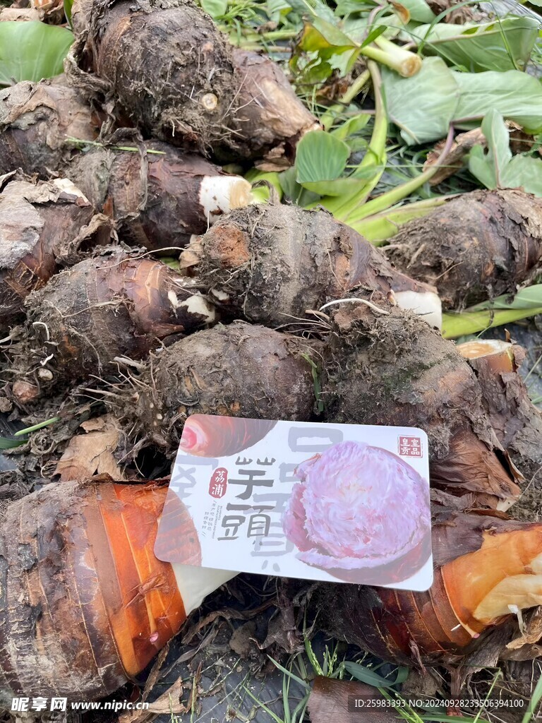 芋头