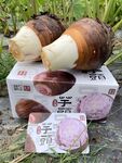 芋头