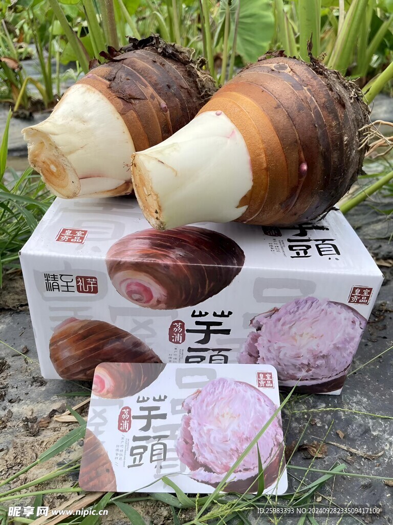芋头