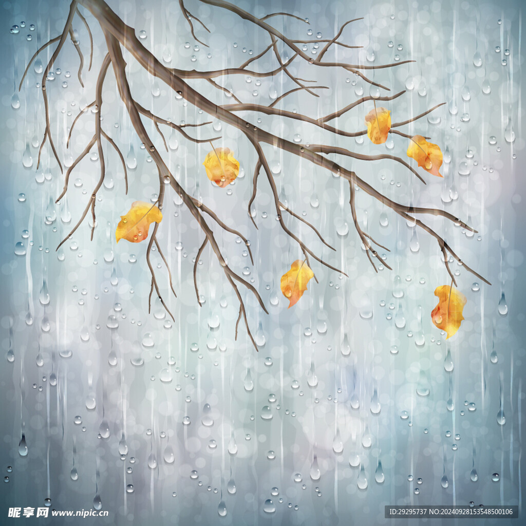 雨中树枝