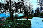 梅溪湖雪景