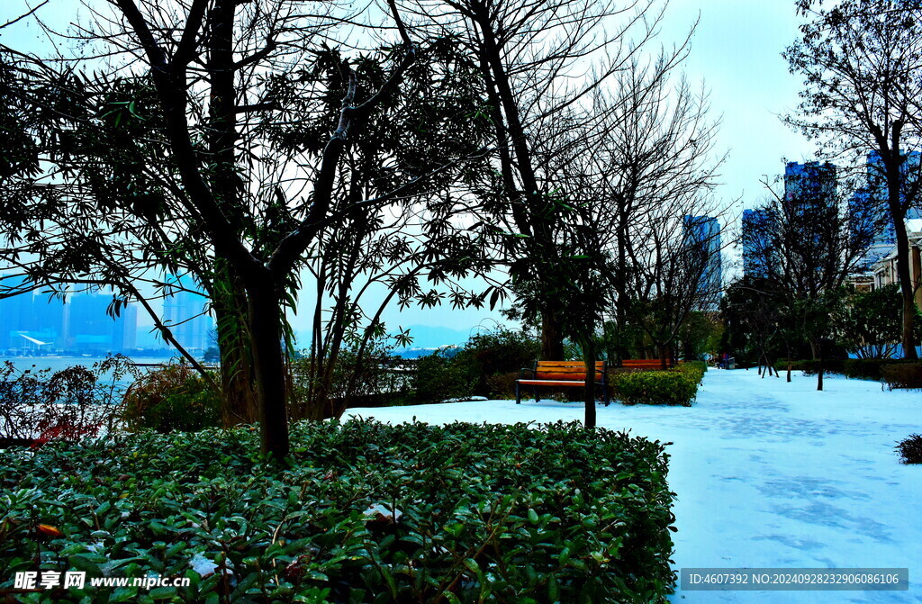 梅溪湖雪景