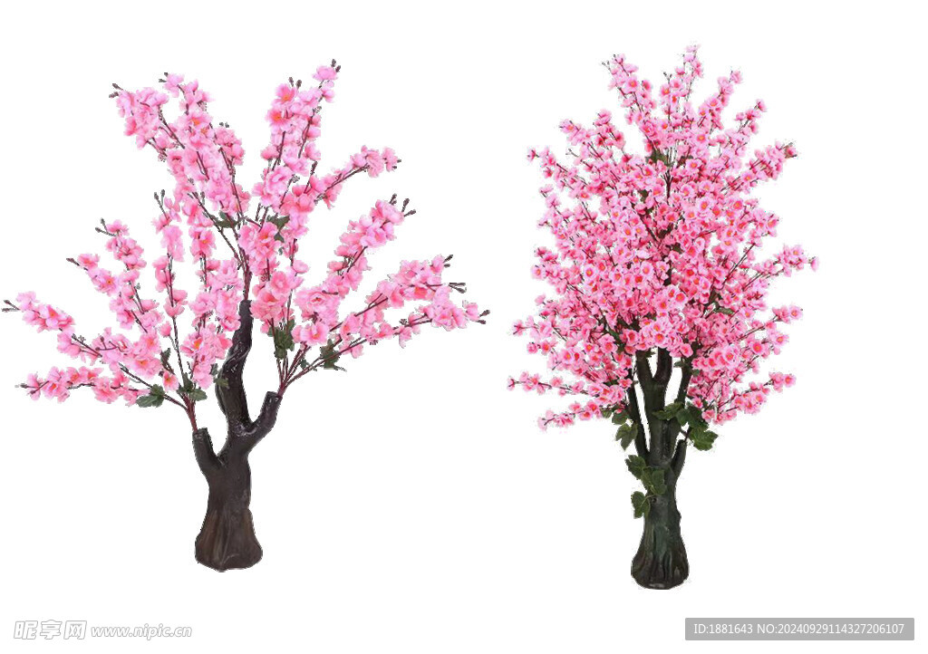 桃花树