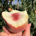 水蜜桃