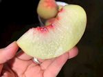 水蜜桃