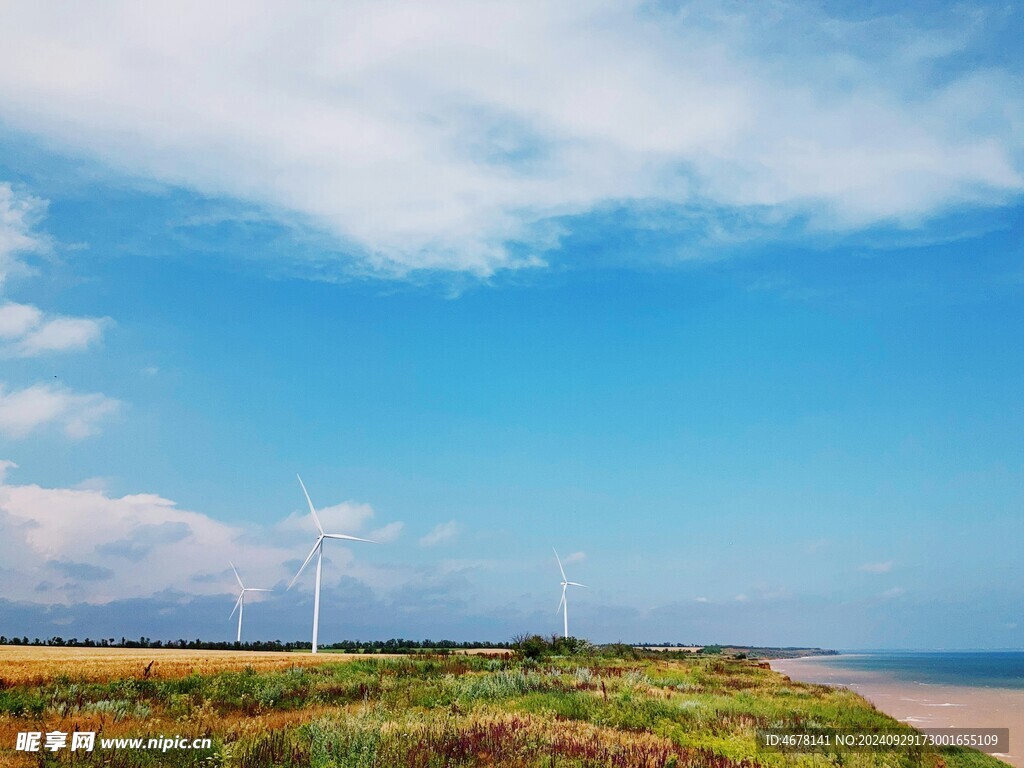 风能电力