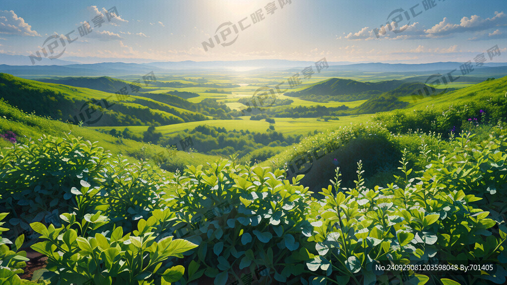 黄芪地以绿色为背景黄芪青绿