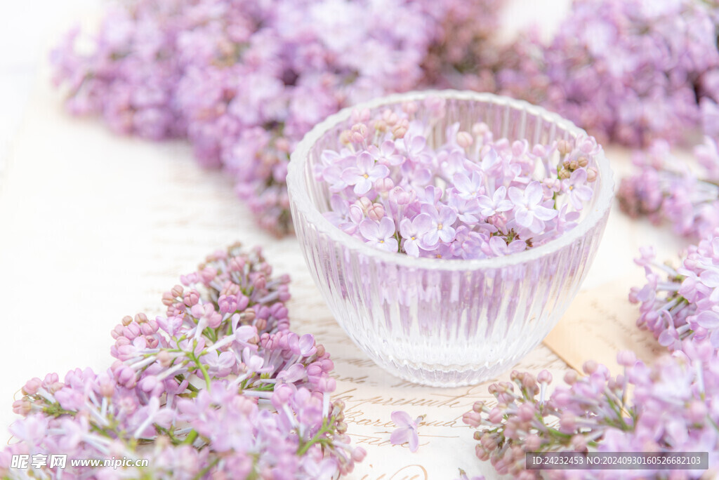 丁香花素材壁纸