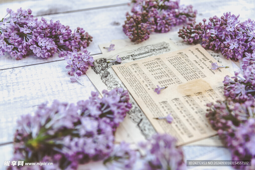 丁香花素材壁纸