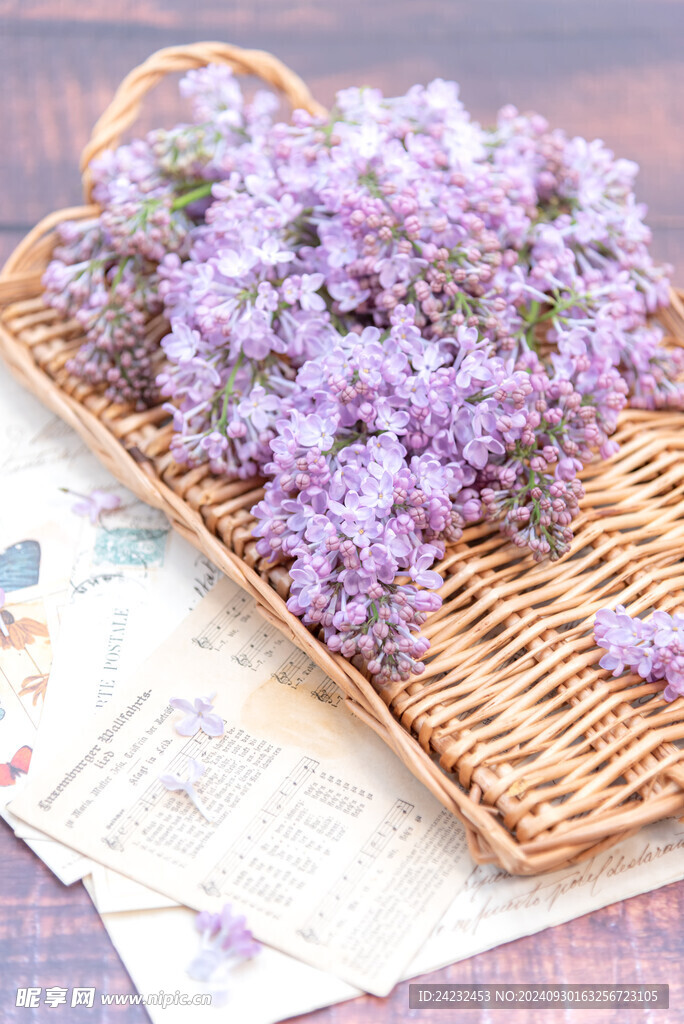 丁香花素材壁纸