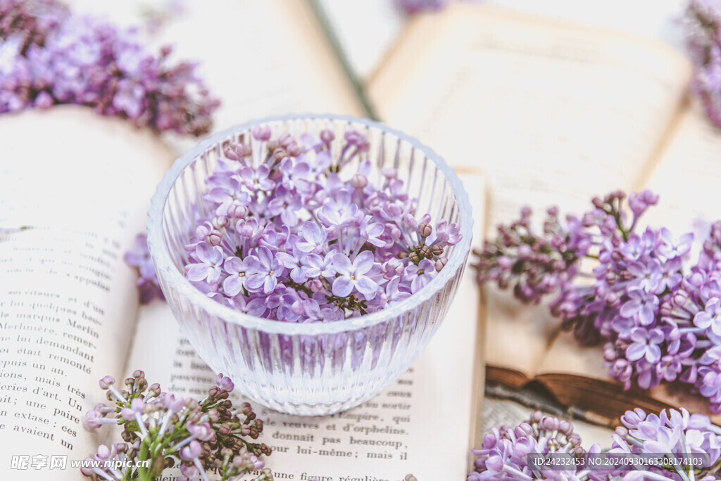 丁香花素材壁纸