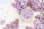 丁香花素材壁纸