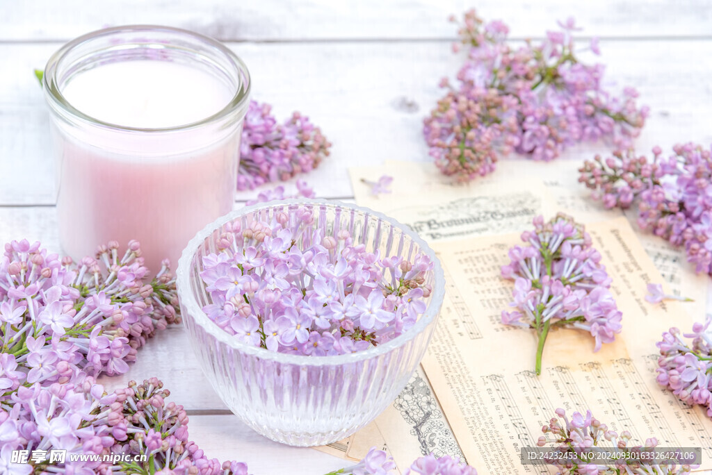 丁香花素材壁纸