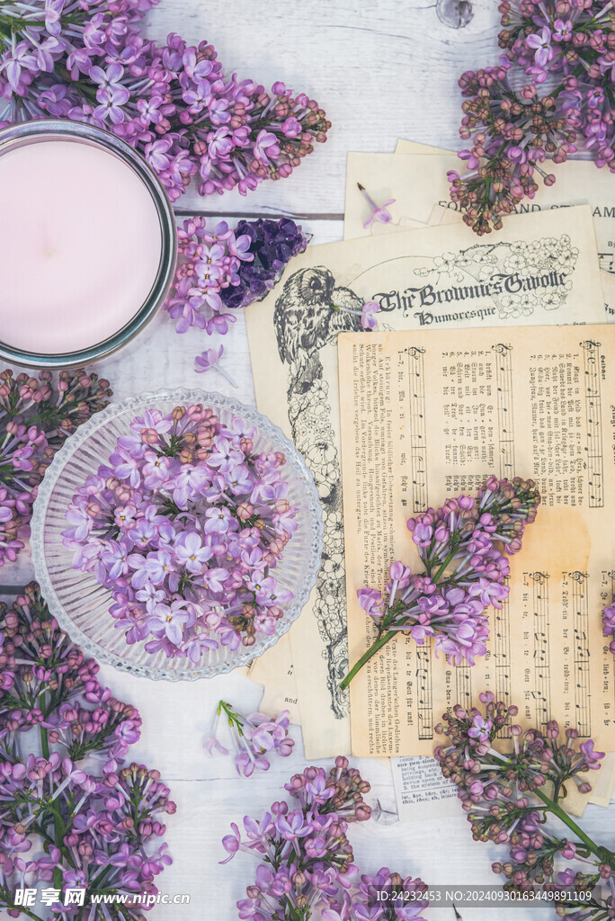 丁香花素材壁纸