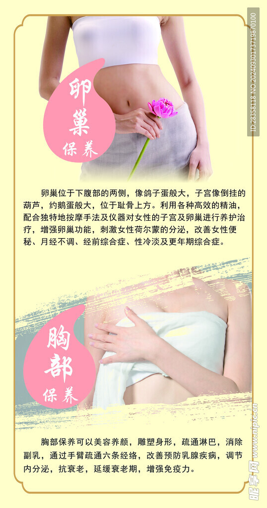 卵巢保养胸部保养