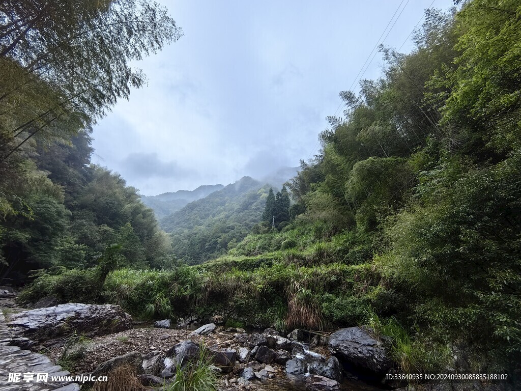 森林 山间 小溪