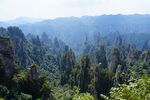 张家界 天门山 森林公园 