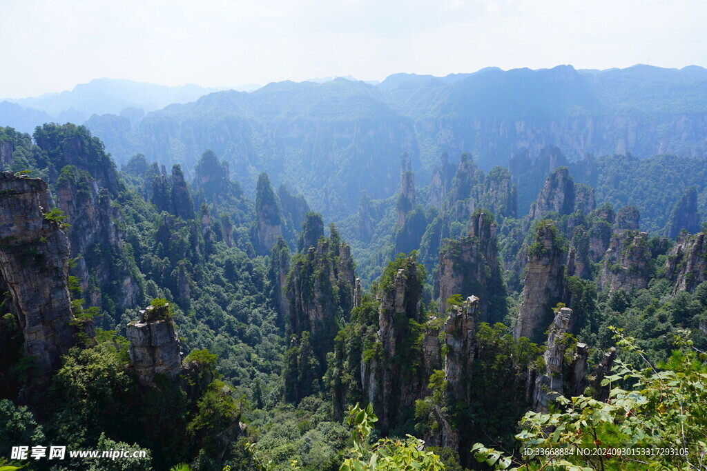 张家界 天门山 森林公园 