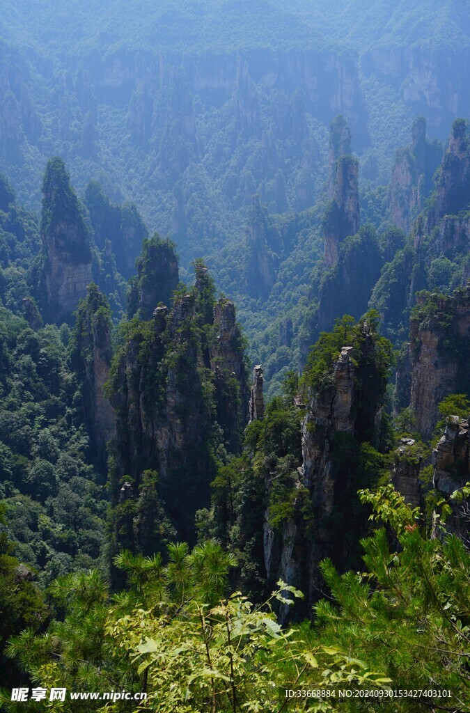 张家界森林公园 张家界风景 