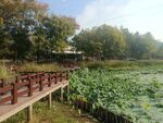 水岸景观
