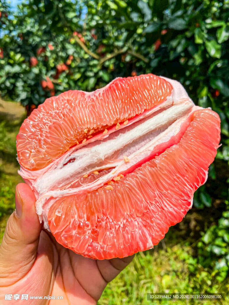 柚子