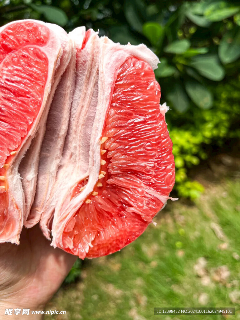 柚子