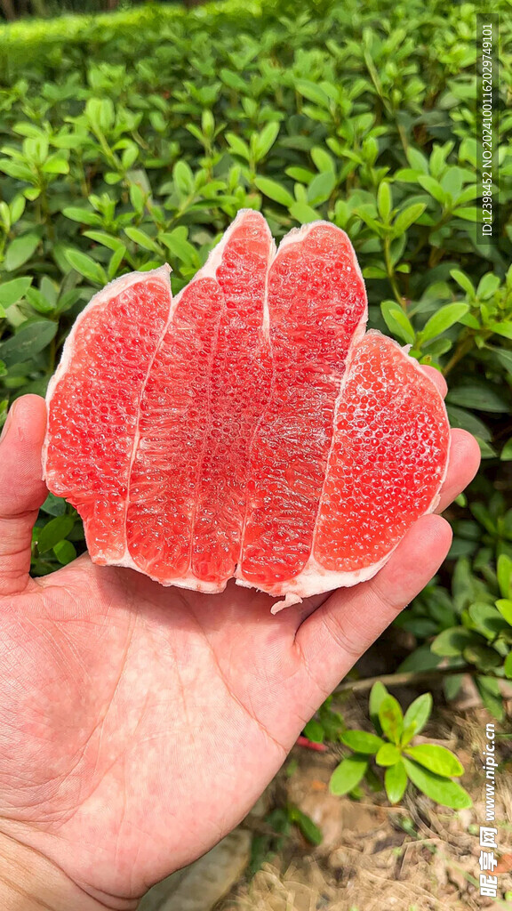 柚子