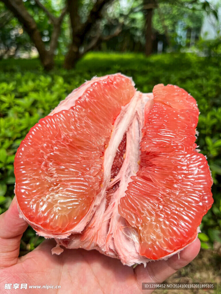 柚子