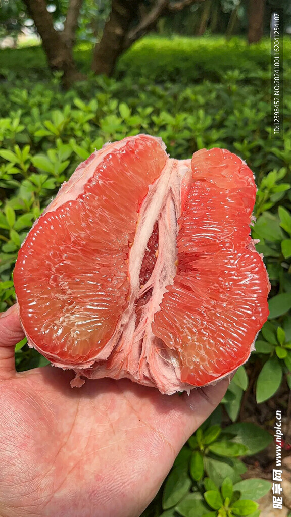 柚子