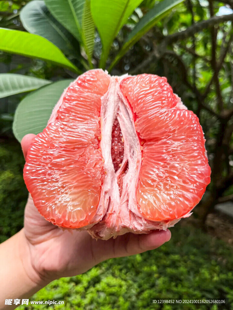 柚子