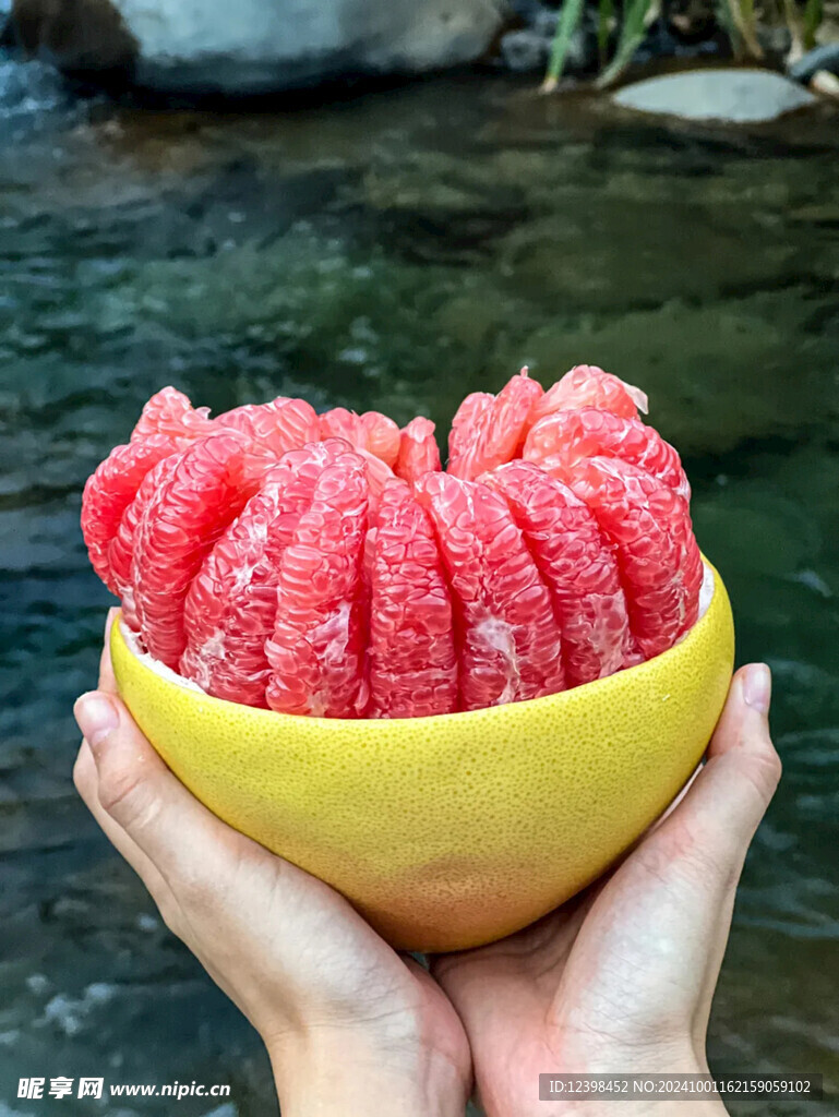 柚子