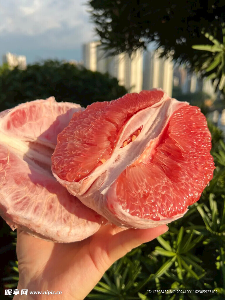 柚子