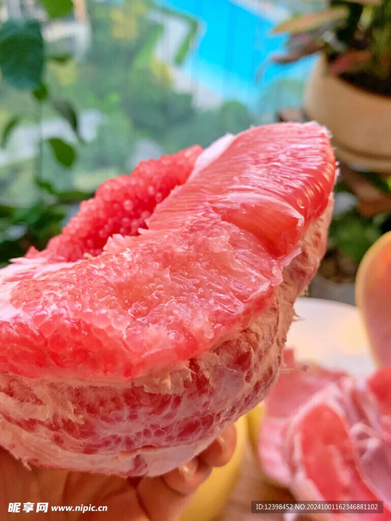 柚子