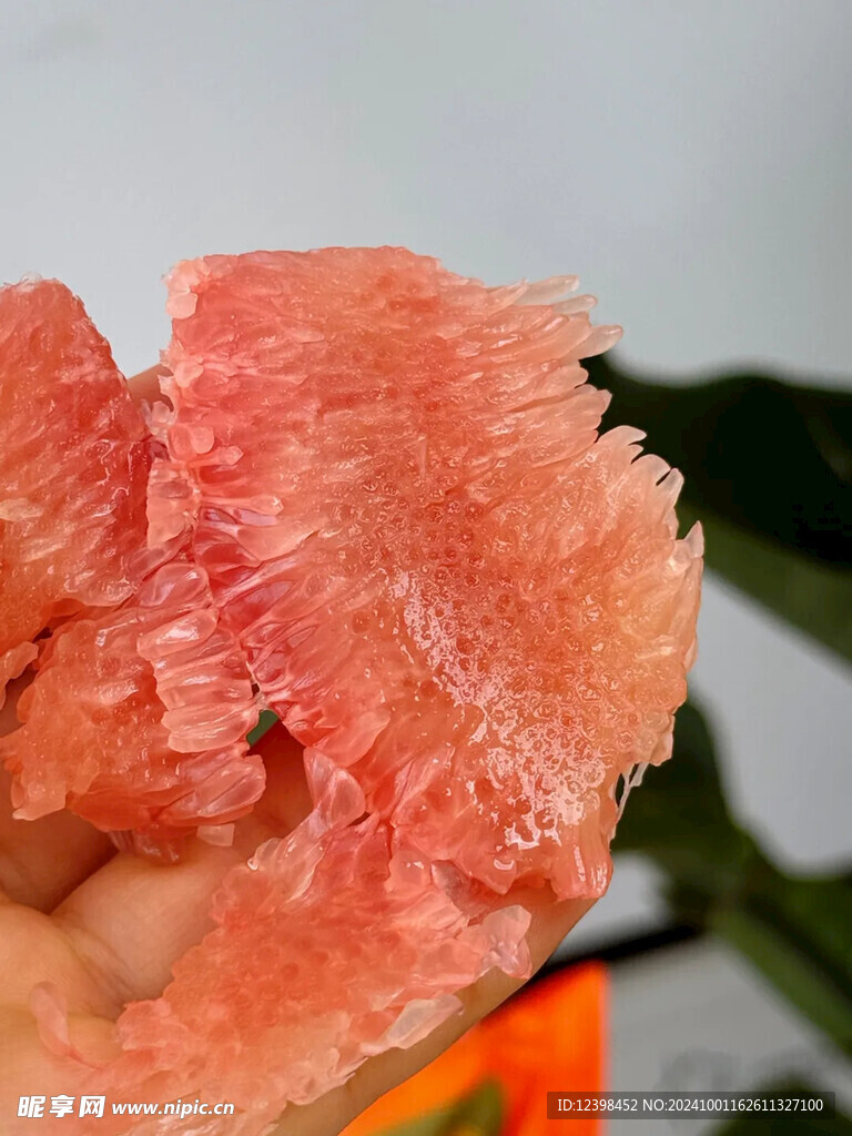 柚子