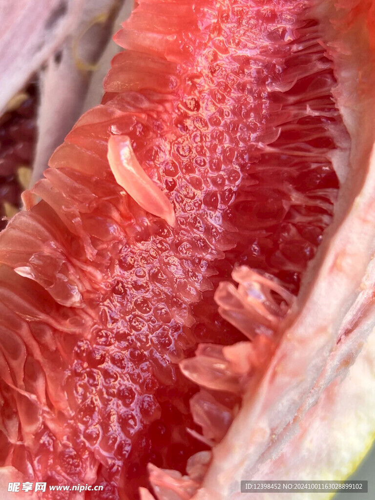 柚子