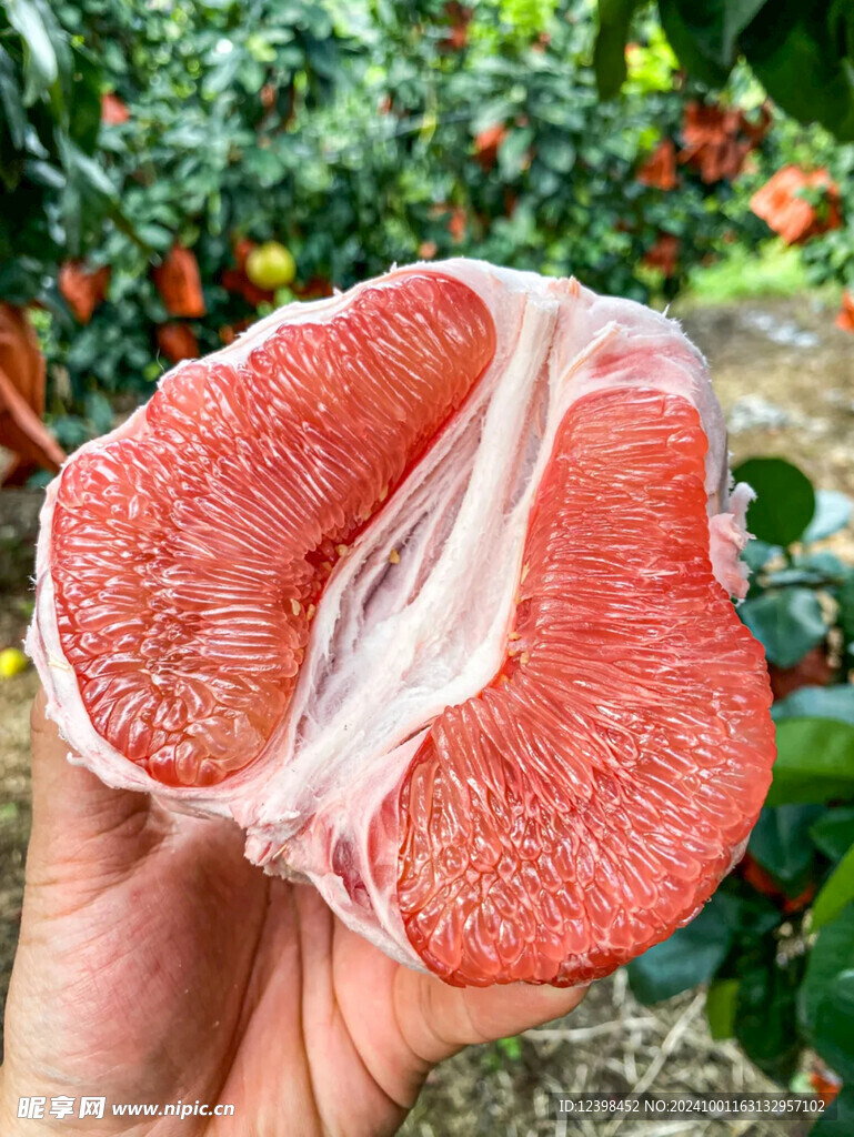 柚子