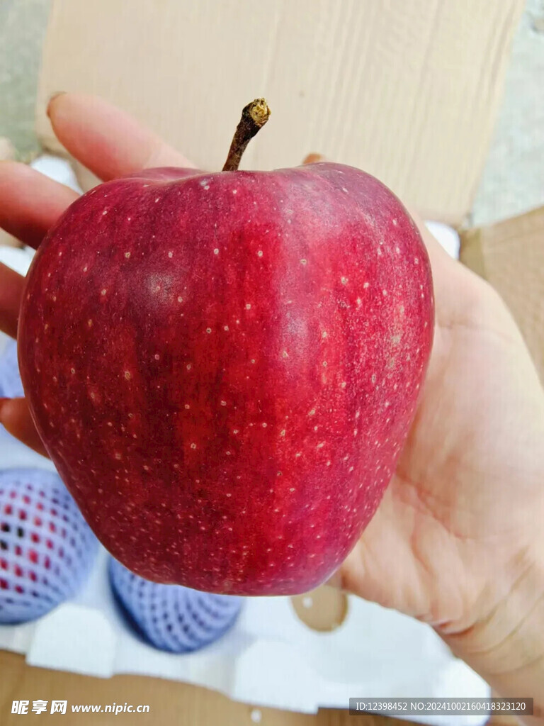 苹果