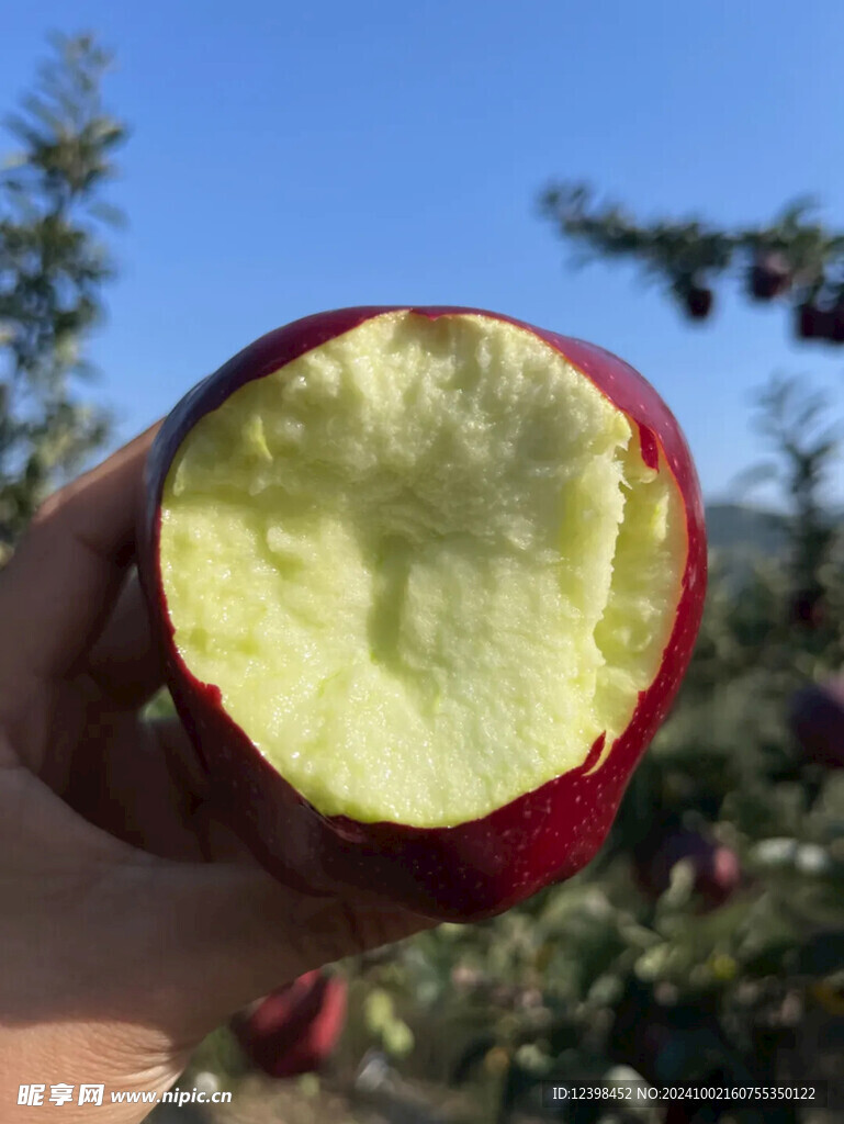 苹果