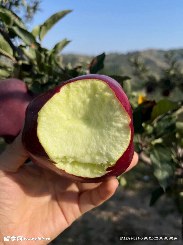 苹果